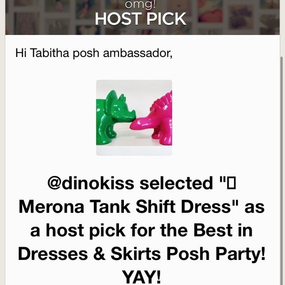 ๐HP๐ Merona Tank Shift Dress - Picture 6 of 6